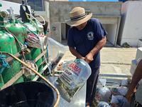 entrega-de-alevinos-agrofeira-passagem-7.jpg