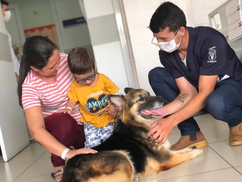 hospital-metropolitano-recebe-a-primeira-visita-de-2026-da-terapia-assistida-por-animais-taa-4.jpg