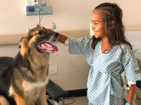 hospital-metropolitano-recebe-a-primeira-visita-de-2026-da-terapia-assistida-por-animais-taa-1.jpg