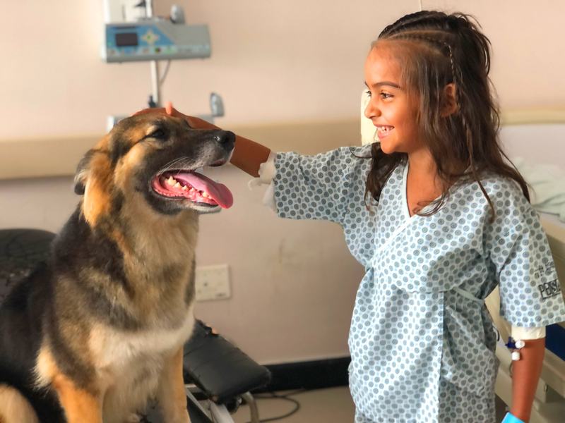 hospital-metropolitano-recebe-a-primeira-visita-de-2026-da-terapia-assistida-por-animais-taa-1.jpg