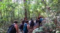 img_5262-1.jpg