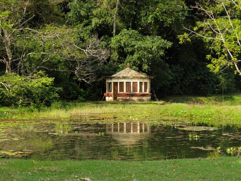 jardim-botanico-beatriz-avelino-20-6.jpg