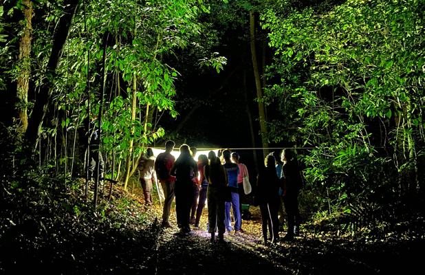 Jardim Botânico realiza trilhas temáticas na programação do Dia Nacional da Mata Atlântica