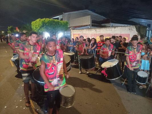 Carnaval Tradição: Ala Ursa Gavião leva solidariedade à avenida com foco na doação de sangue